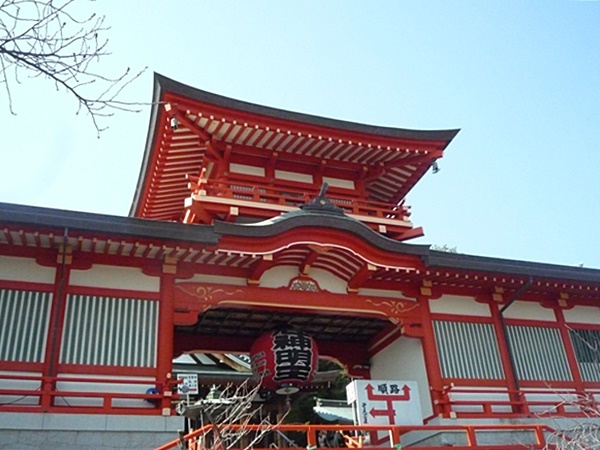 e0177271_16075057.jpg