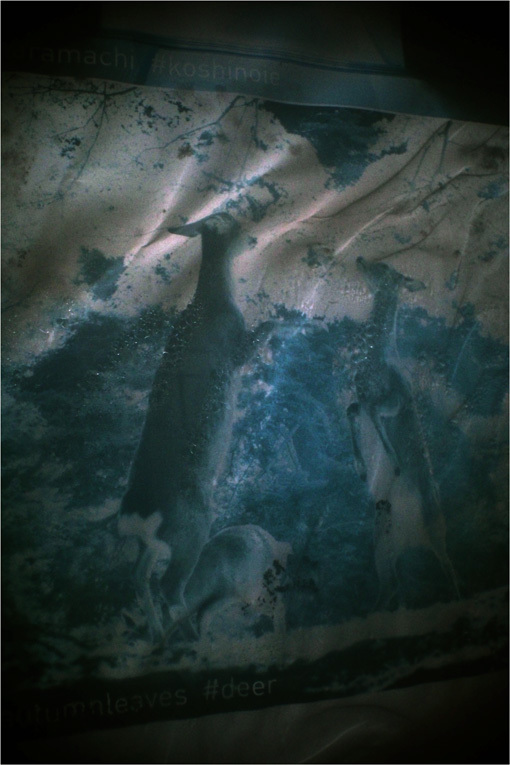 c0168172_20522653.jpg
