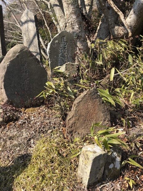 d0372774_11012903.jpeg
