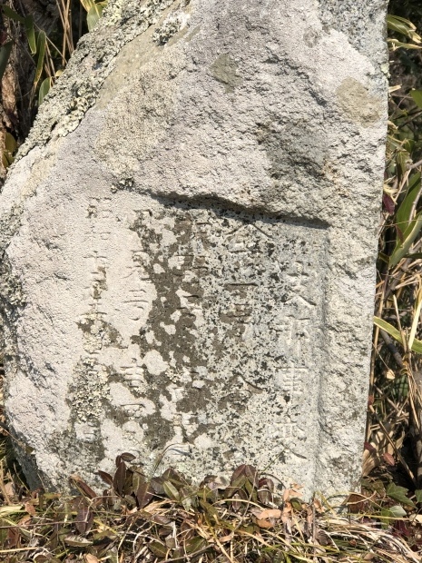 d0372774_11021952.jpeg