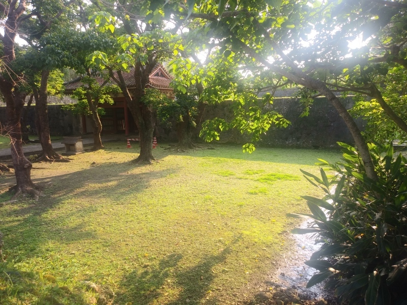 d0129083_21103932.jpg