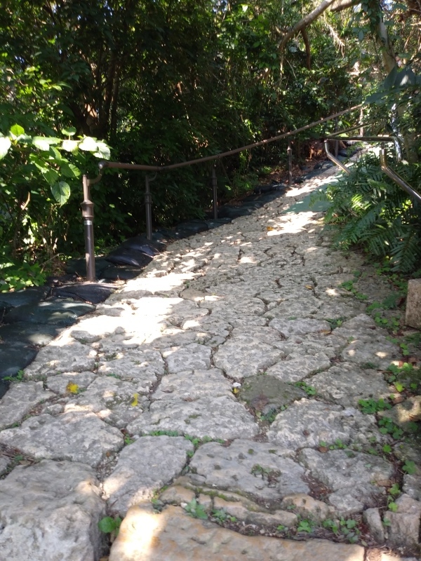 d0129083_23283925.jpg