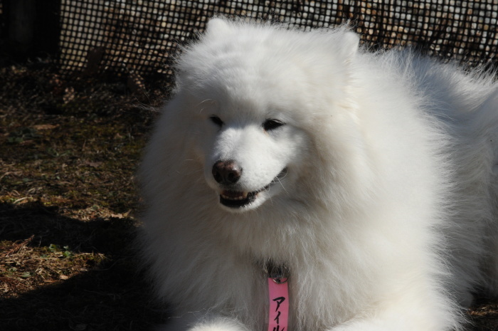 第12回 雪中オフ 2_a0049296_18355942.jpg