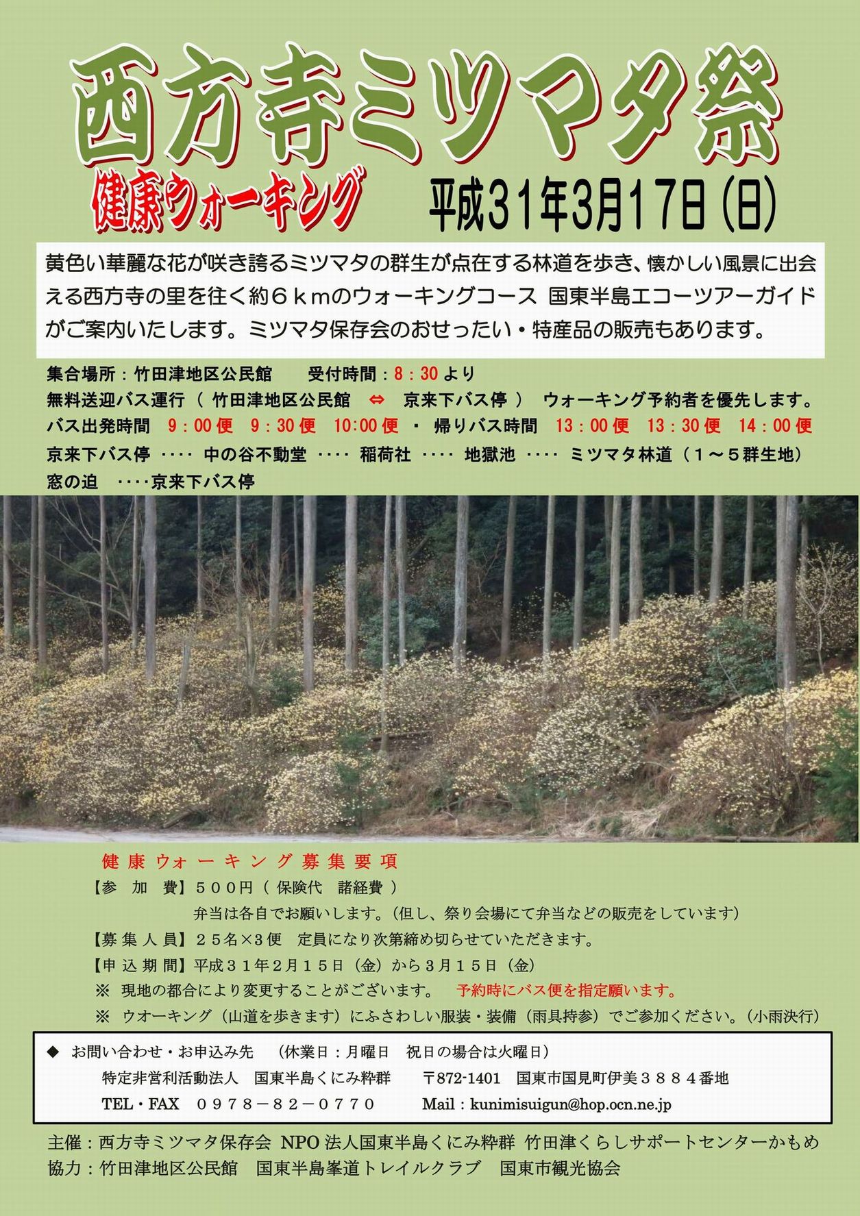 西方寺ミツマタ開花情報～第3弾！　2019.3.5（火）_a0166196_18302458.jpg