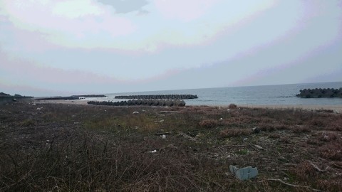 e0172608_20152747.jpg