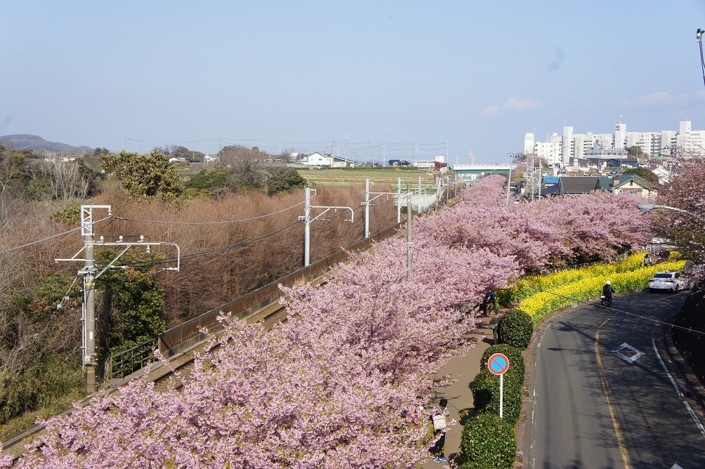 b0112909_20590078.jpg