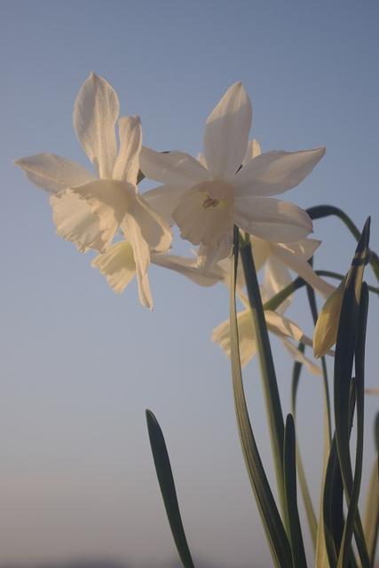 c0147909_11265760.jpg