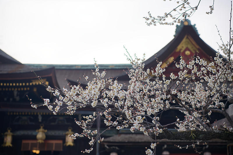 f0032011_19183911.jpg