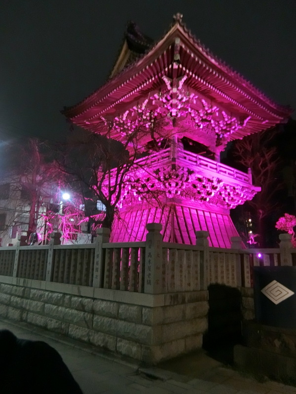 3月6日(水) 4日より帝釈天のライトアップ始まる_d0278912_23305550.jpg