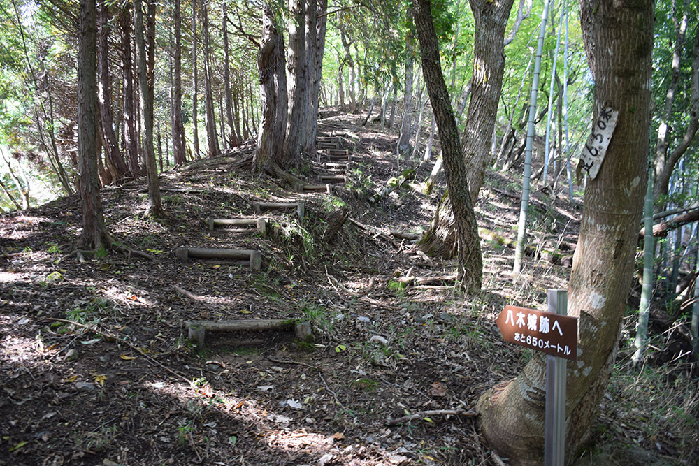 但馬八木城跡登城記 その1 ~登山道~_e0158128_18403362.jpg