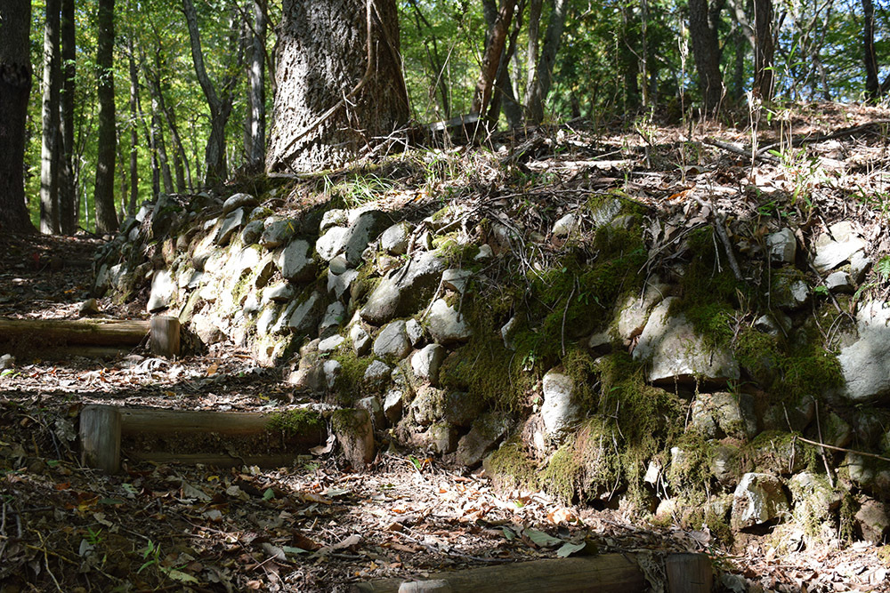 但馬八木城跡登城記 その1 ~登山道~_e0158128_18502433.jpg