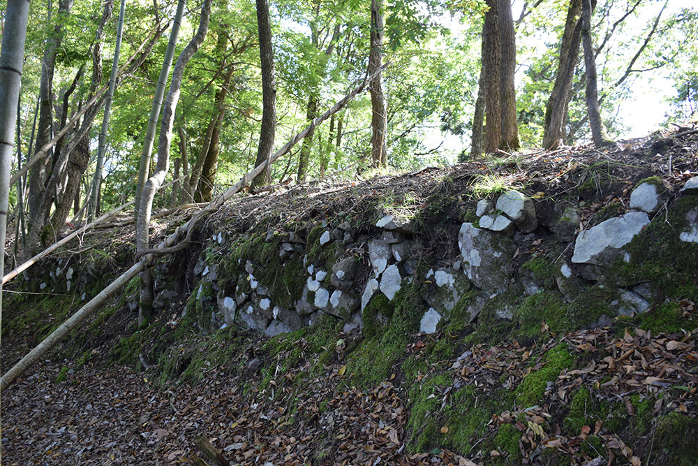 但馬八木城跡登城記 その1 ~登山道~_e0158128_18510065.jpg