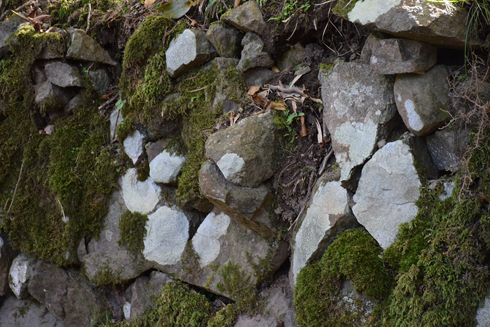 但馬八木城跡登城記 その1 ~登山道~_e0158128_18511442.jpg