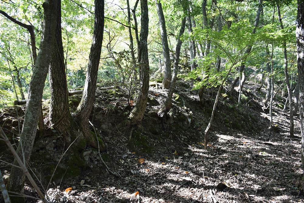 但馬八木城跡登城記 その1 ~登山道~_e0158128_18511891.jpg