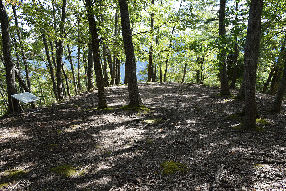 e0158128_19141011.jpg