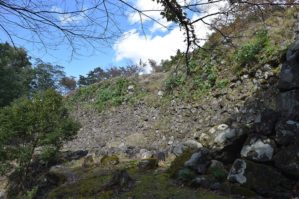 但馬八木城跡登城記 その3 ~石城本丸跡~_e0158128_19495714.jpg
