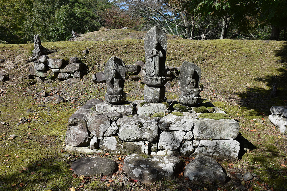 但馬八木城跡登城記 その3 ~石城本丸跡~_e0158128_20051848.jpg