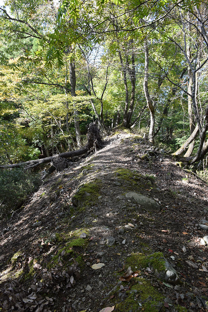 但馬八木城跡登城記 その4 ~八木土城(八木古城)跡~_e0158128_20230062.jpg