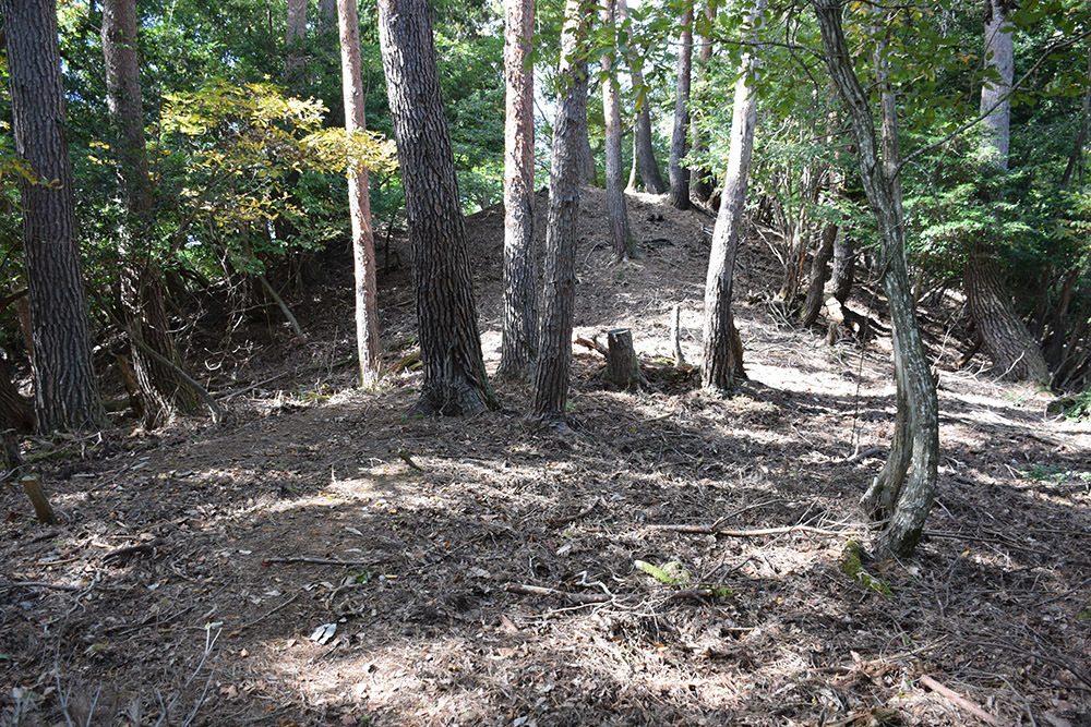 但馬八木城跡登城記 その4 ~八木土城(八木古城)跡~_e0158128_20240701.jpg