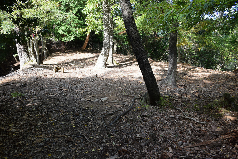 但馬八木城跡登城記 その4 ~八木土城(八木古城)跡~_e0158128_20333568.jpg
