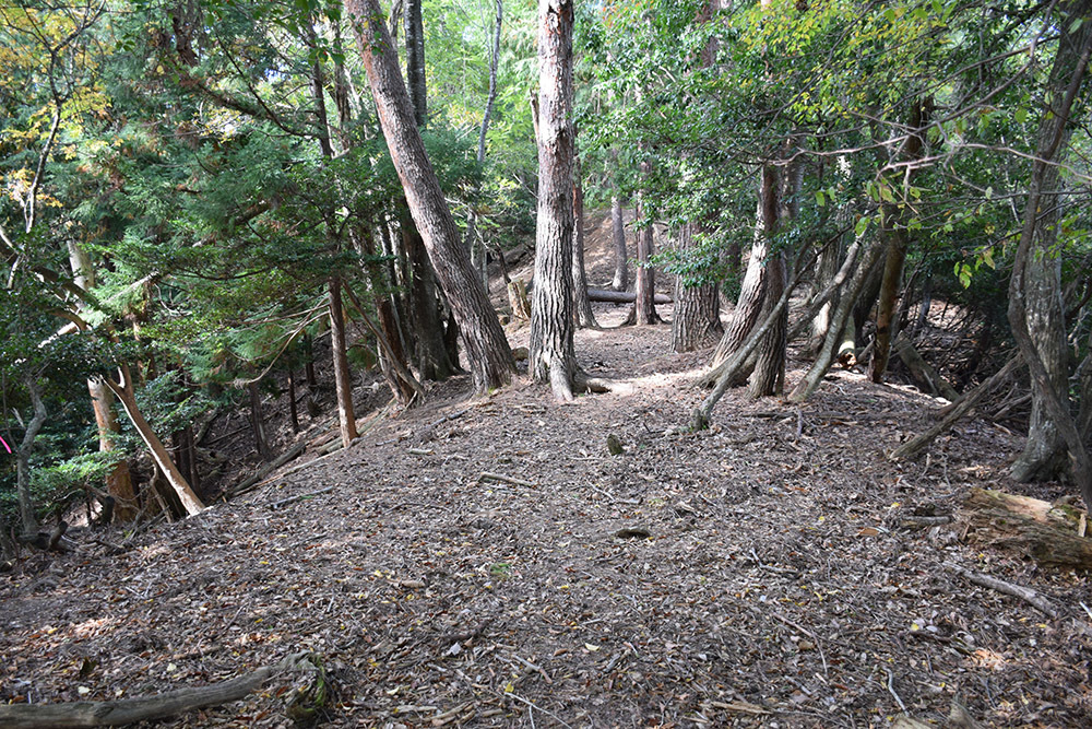 但馬八木城跡登城記 その4 ~八木土城(八木古城)跡~_e0158128_20354933.jpg