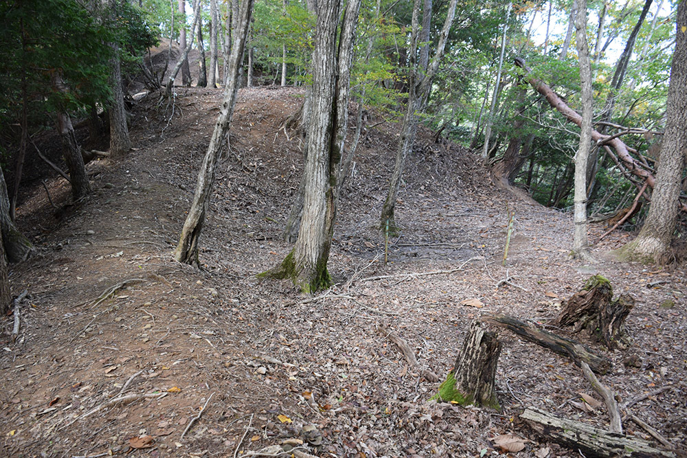 但馬八木城跡登城記 その4 ~八木土城(八木古城)跡~_e0158128_20373951.jpg