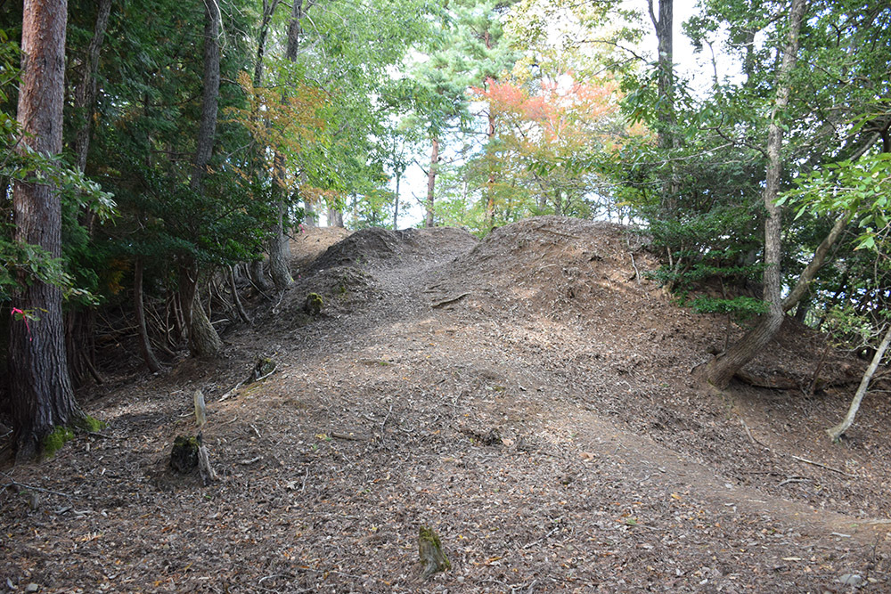 但馬八木城跡登城記 その4 ~八木土城(八木古城)跡~_e0158128_20392981.jpg