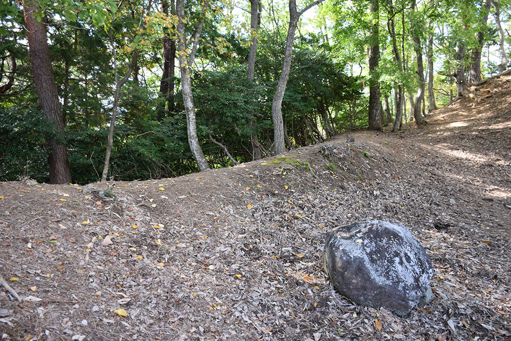 但馬八木城跡登城記 その4 ~八木土城(八木古城)跡~_e0158128_20402785.jpg
