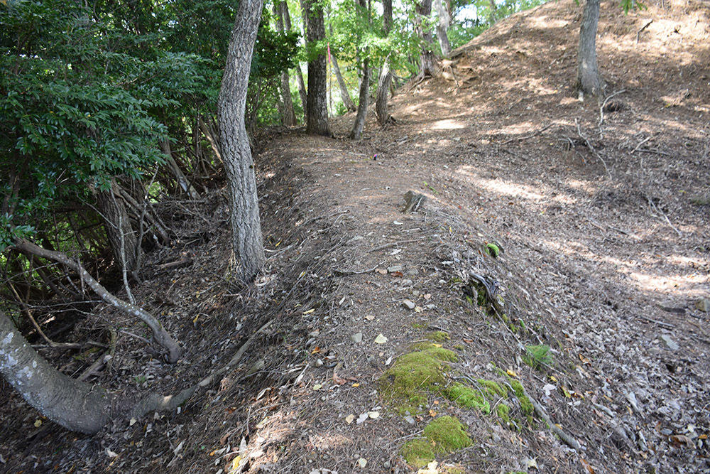 但馬八木城跡登城記 その4 ~八木土城(八木古城)跡~_e0158128_20413993.jpg