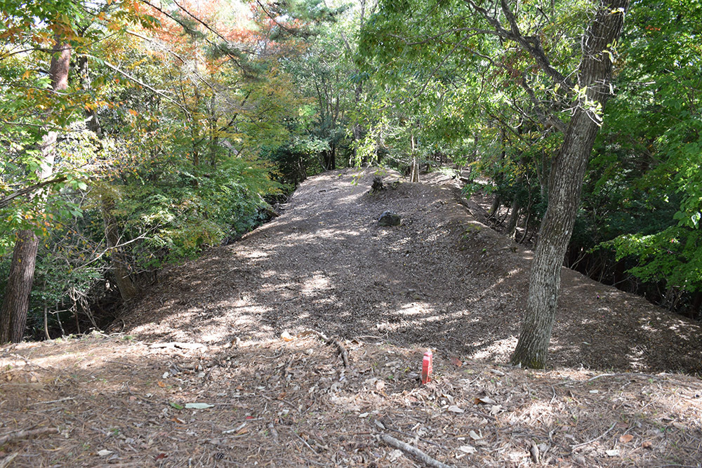 但馬八木城跡登城記 その4 ~八木土城(八木古城)跡~_e0158128_20445578.jpg