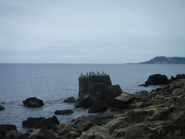 c0222430_13501826.jpg