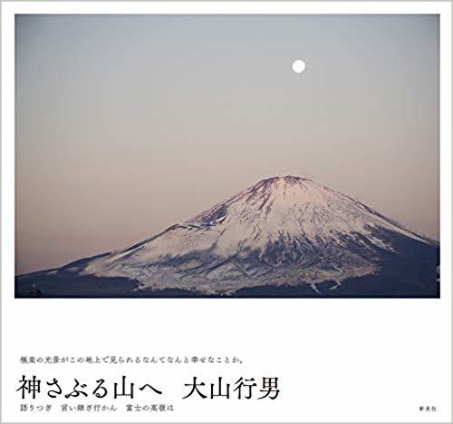 見てはいけないような霊的富士山の写真集_c0082534_16455334.jpg