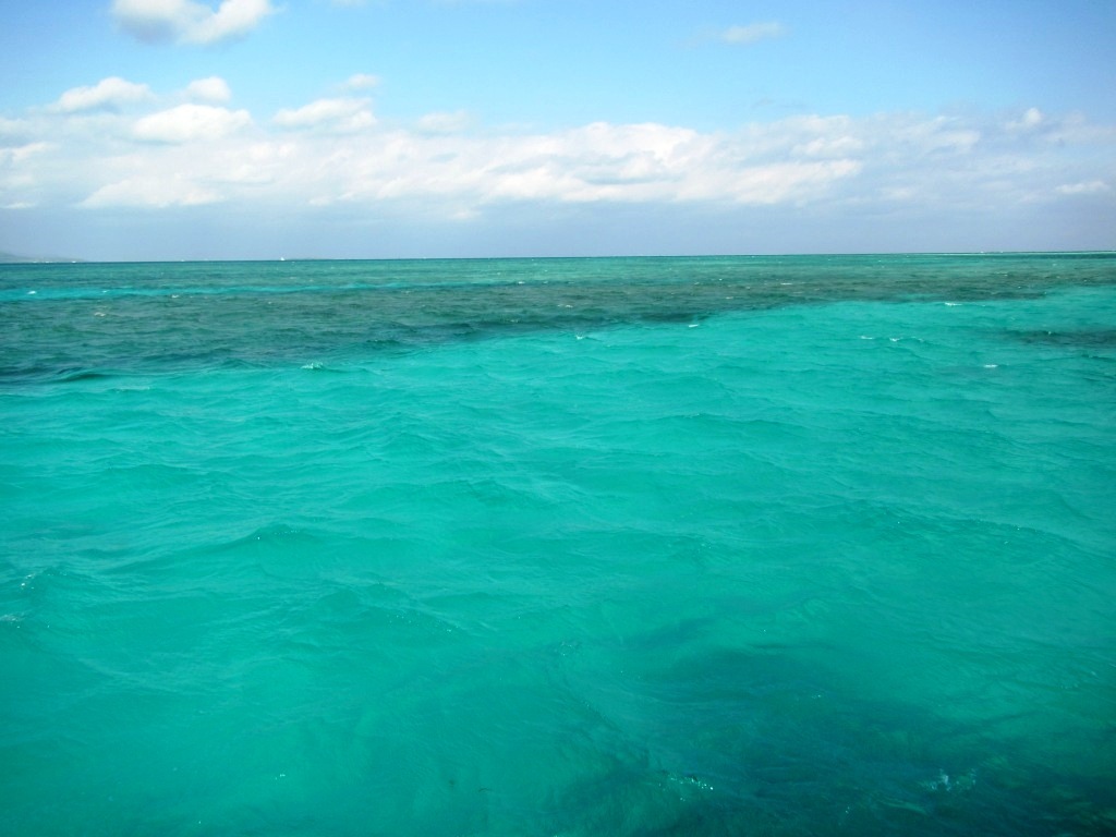 a0189838_07094234.jpg