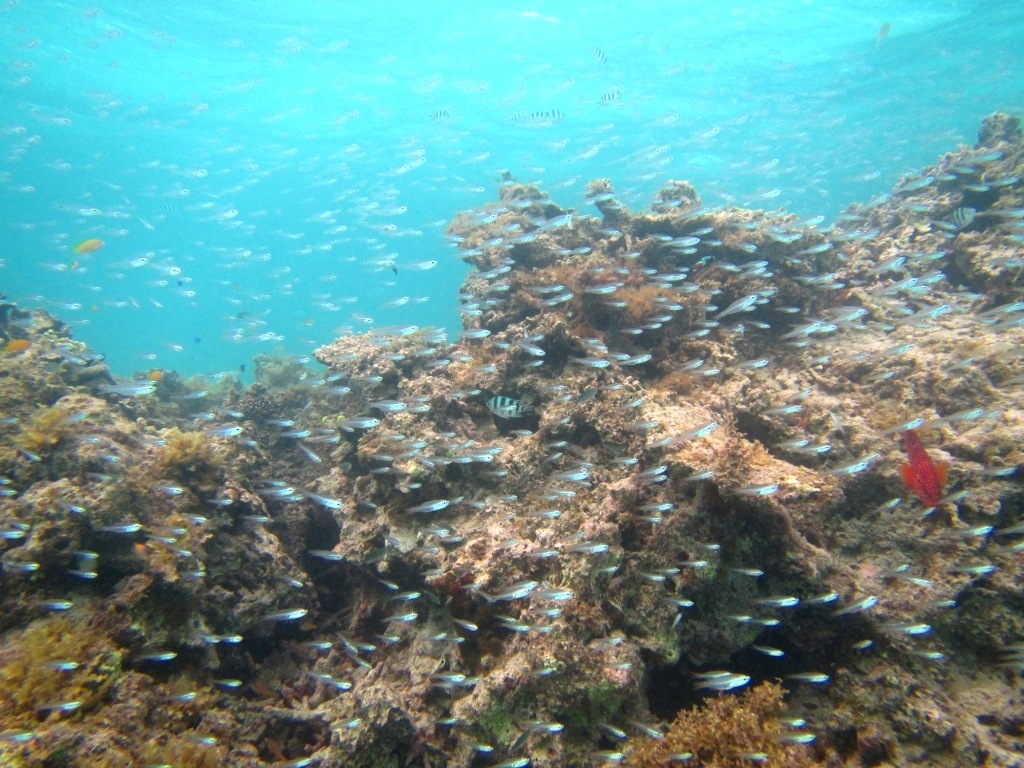 a0189838_07120232.jpg