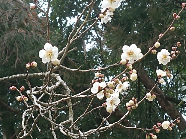 朝には止みそう～_e0145441_22564042.jpg