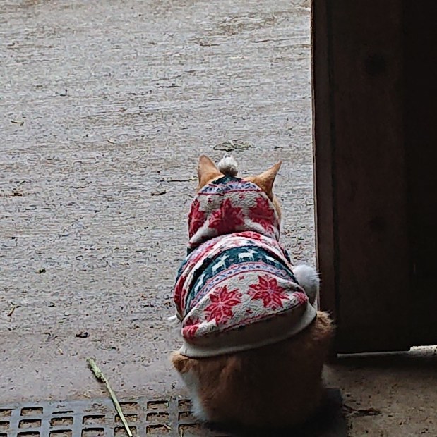 朝には止みそう~_e0145441_22571564.jpg
