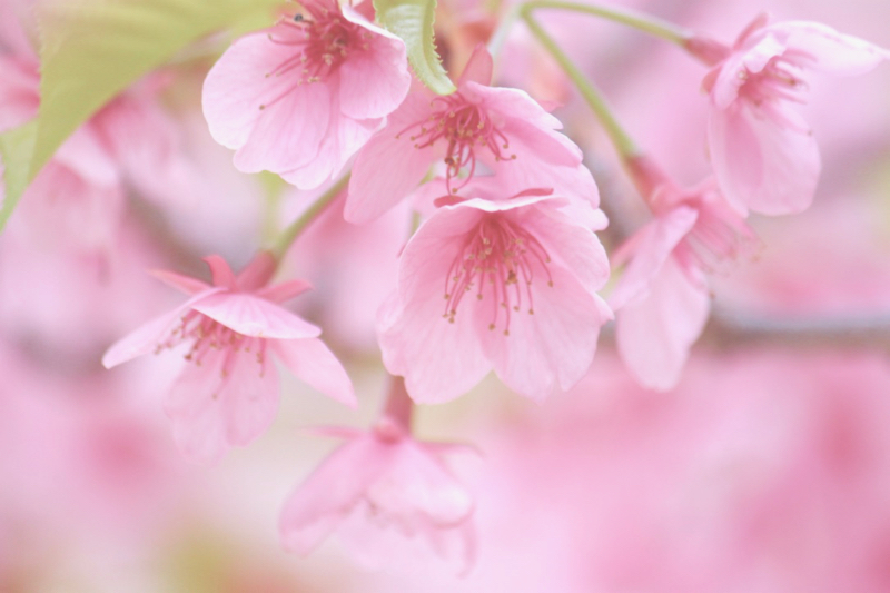 watashi iro_a0271251_14555891.jpg