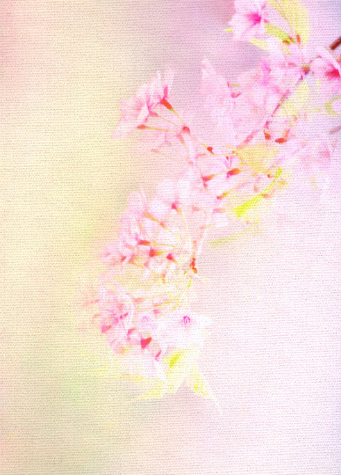 watashi iro_a0271251_23192461.jpg
