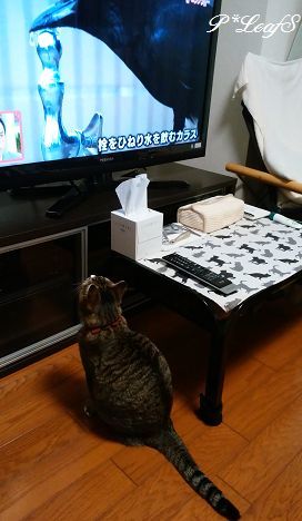 c0176651_23234581.gif