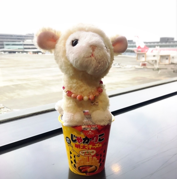 f0304452_09024158.jpeg