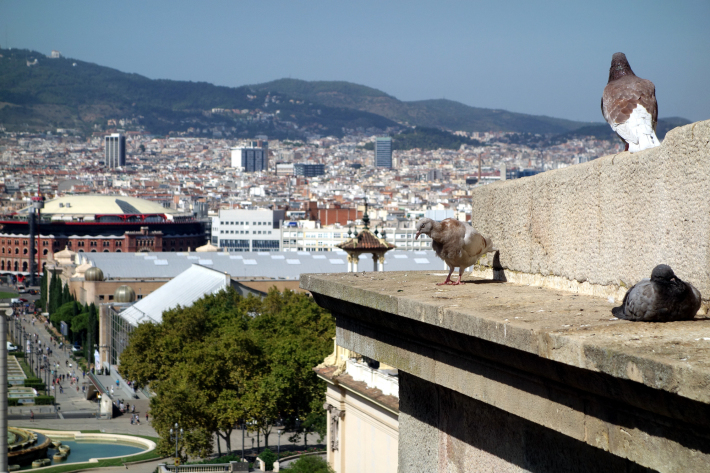 ミロ美術館 Fundació Joan Miró フニクラ Funicular De Montjuic モンジュイックの丘 2018年9月 バルセロナの旅(15)_f0117059_12340663.jpg
