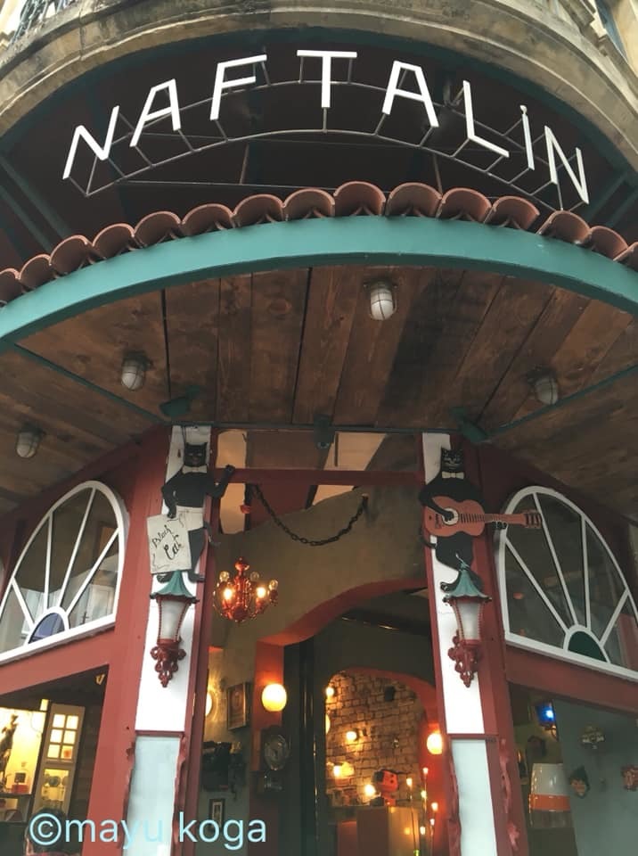 イスタンブールの猫カフェ『Cafe Naftalin K』の猫ちゃんにちゅーるをあげてみた！_e0255060_00120389.jpg