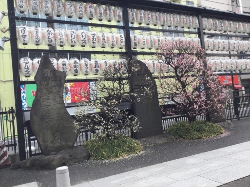 a0053063_23314337.jpeg