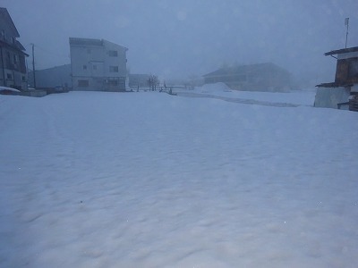 d0074063_07241064.jpg