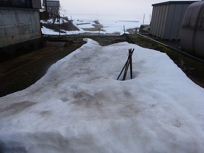 d0074063_07250939.jpg