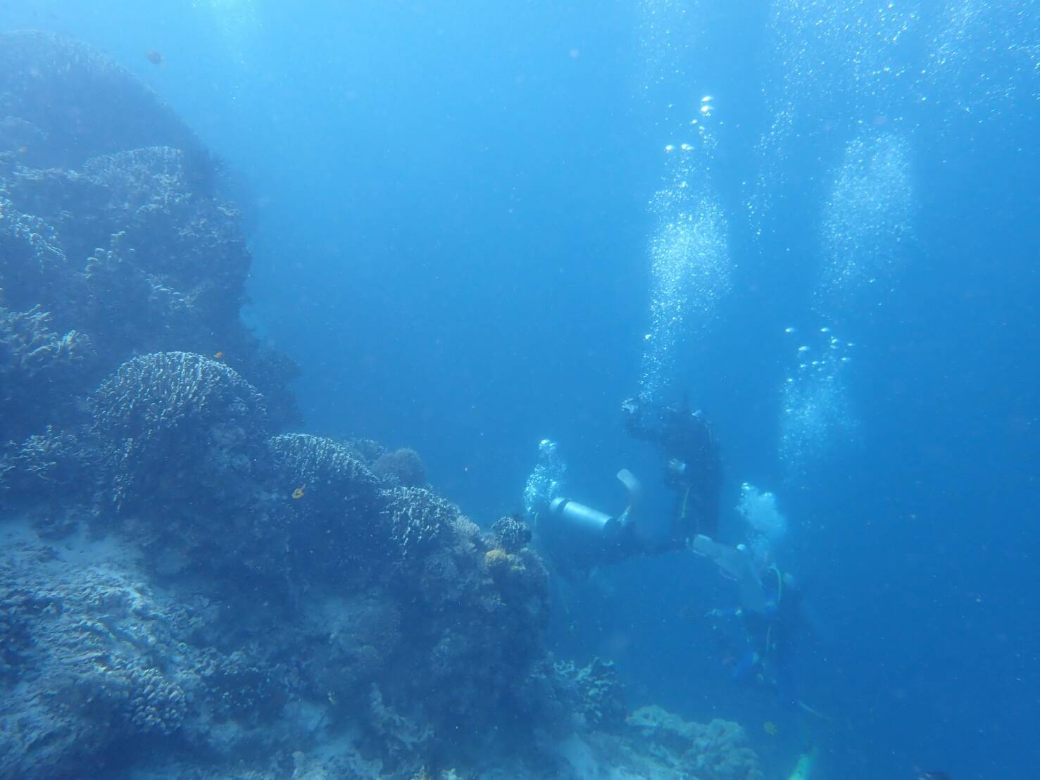 d0363174_23331520.jpg