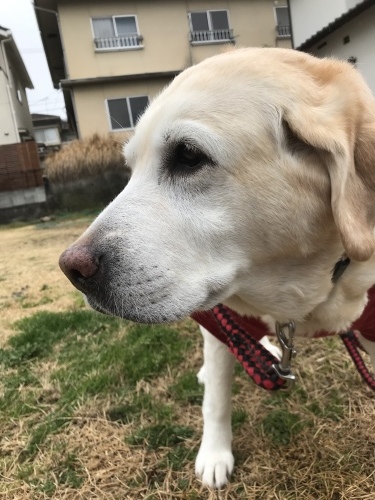 f0315081_22315517.jpeg