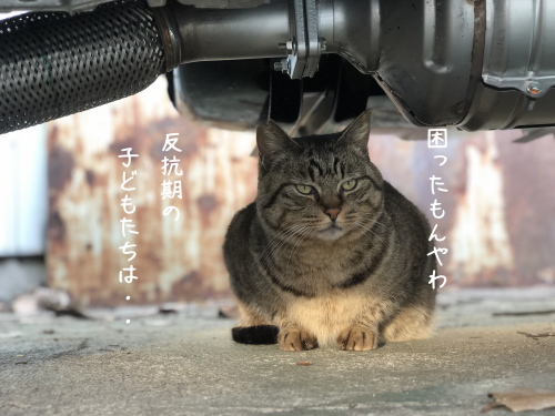 a0216583_12530791.png
