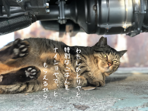 a0216583_12531424.png