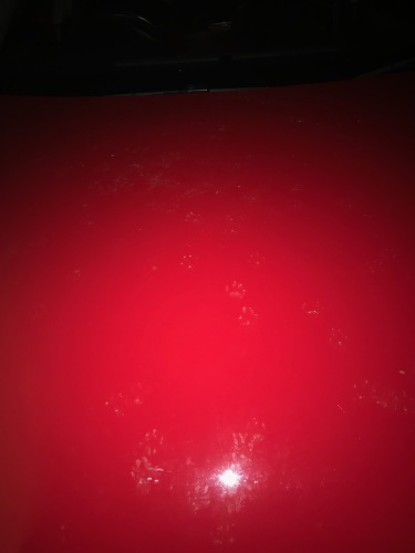 a0216583_12532984.jpeg